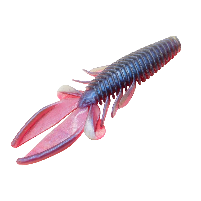 Pêche à l'écrevisse joueuse 