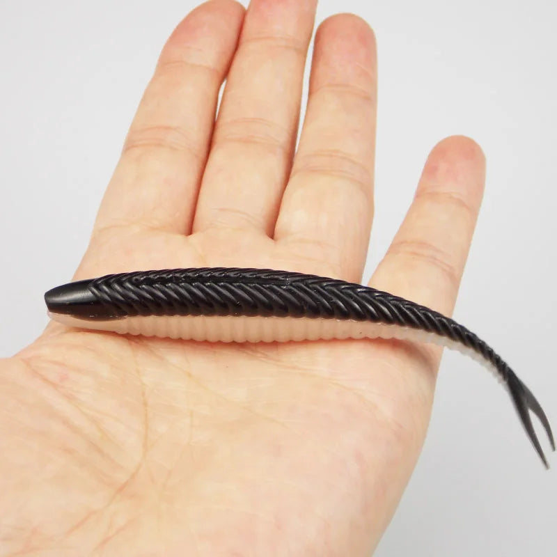 PÊCHE à l'Armor Shad 