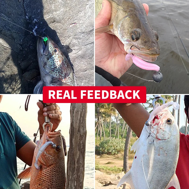 Meredith Crazy SawShiner