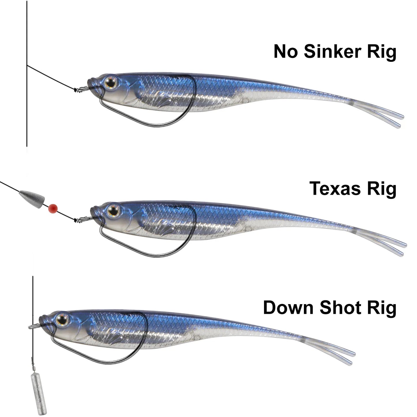 Dr Rig Fish