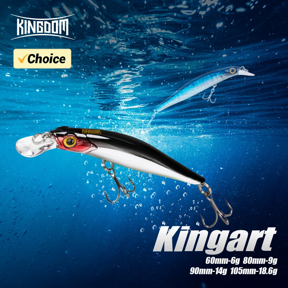 Kingdom Sinking Minnow